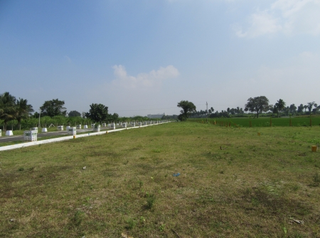 5) Residential Land for Sale in Thanapalli Near Tirupati.JPG